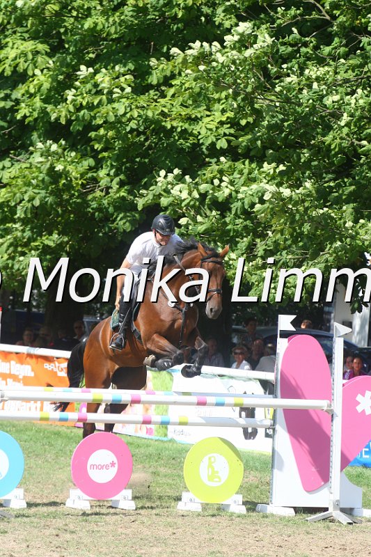 308M3757_Cynara_Springpferde Mx.JPG